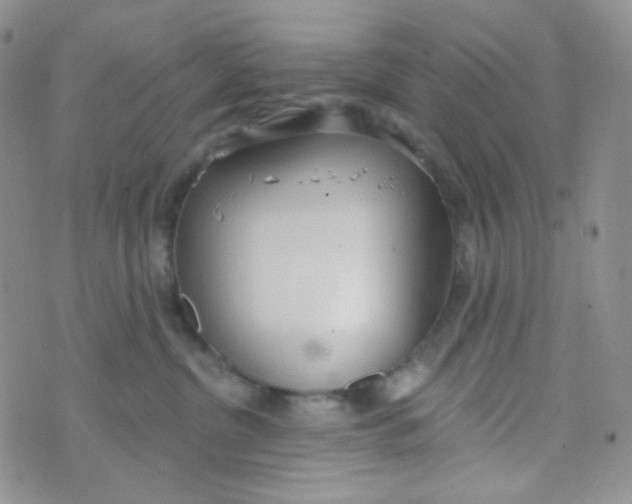 X0000074300380200609151948