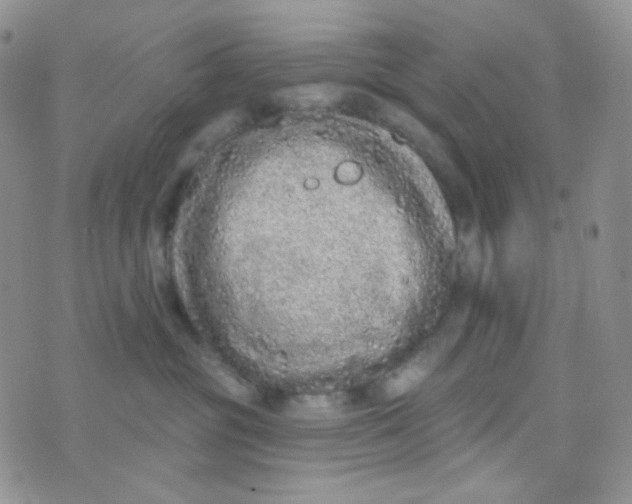 X0000074300381200609151948