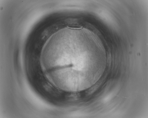 X0000074300383200609151948