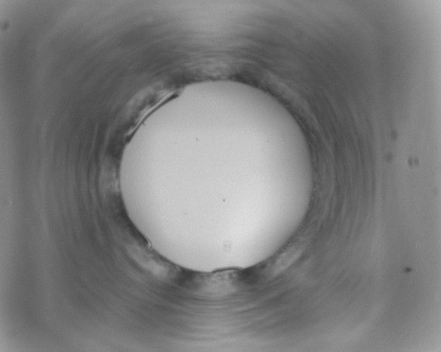 X0000074300384200609151948