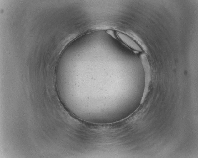 X0000074300385200609151947