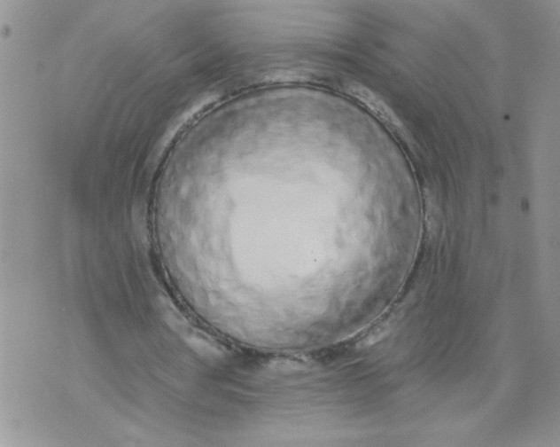 X0000074300386200609151947