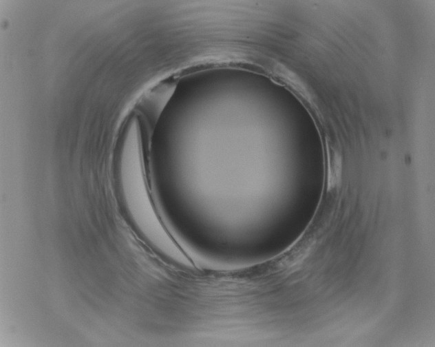 X0000074300387200609151947