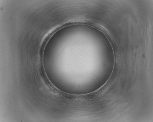 X0000074300388200609151947