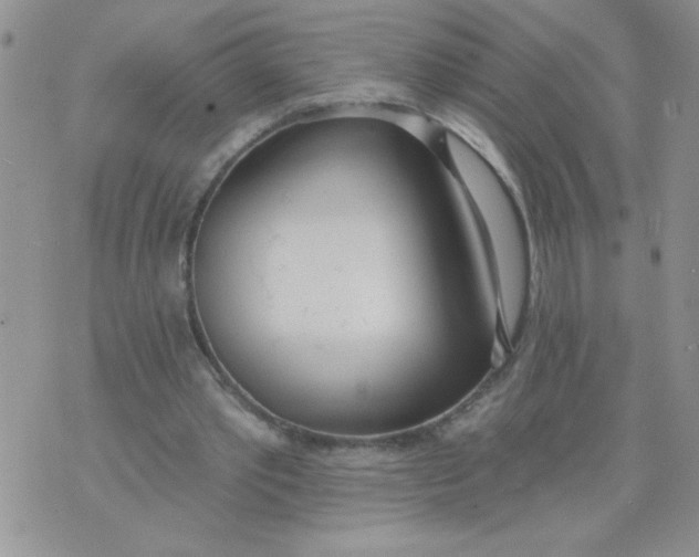 X0000074300389200609151947