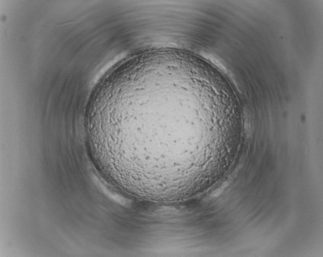 X0000074300390200609151947