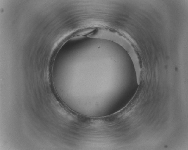 X0000074300391200609151947