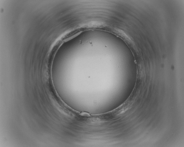 X0000074300392200609151947