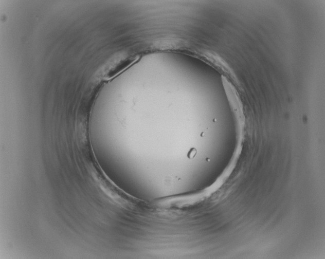 X0000074300393200609151947