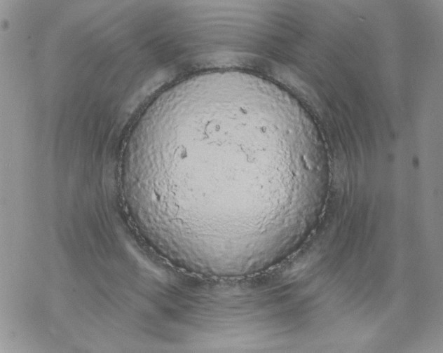 X0000074300394200609151947