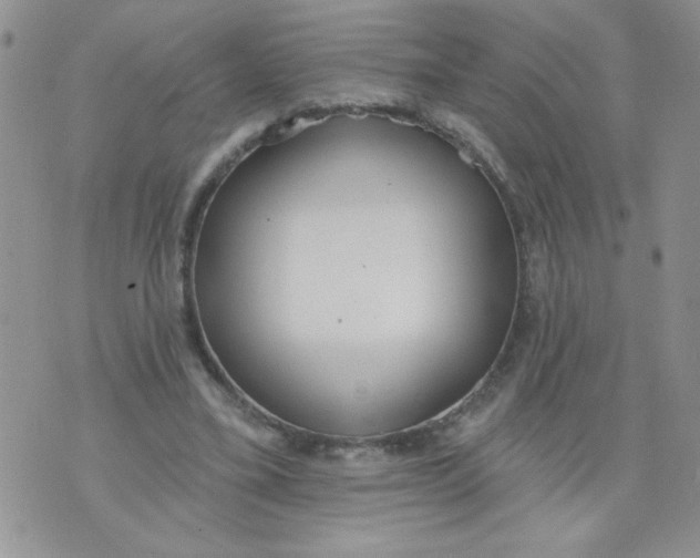 X0000074300395200609151947