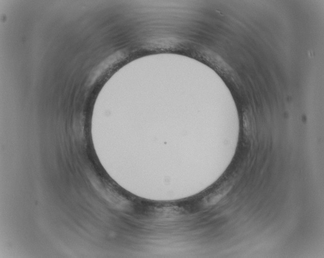 X0000074300396200609151947