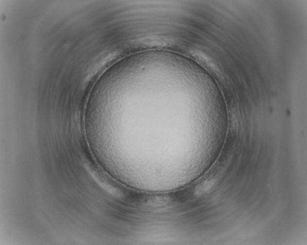 X0000074300398200609151947