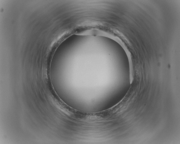 X0000074300399200609151947