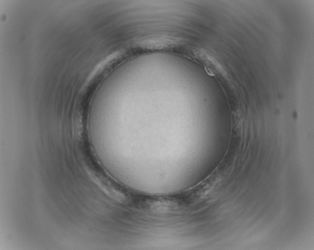 X0000074300400200609151947