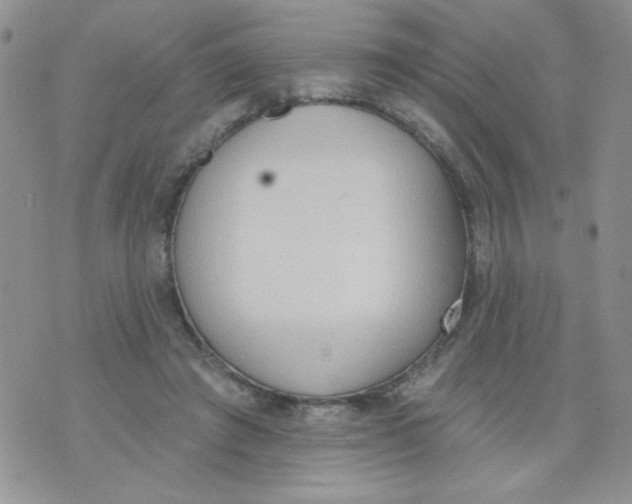 X0000074300401200609151947