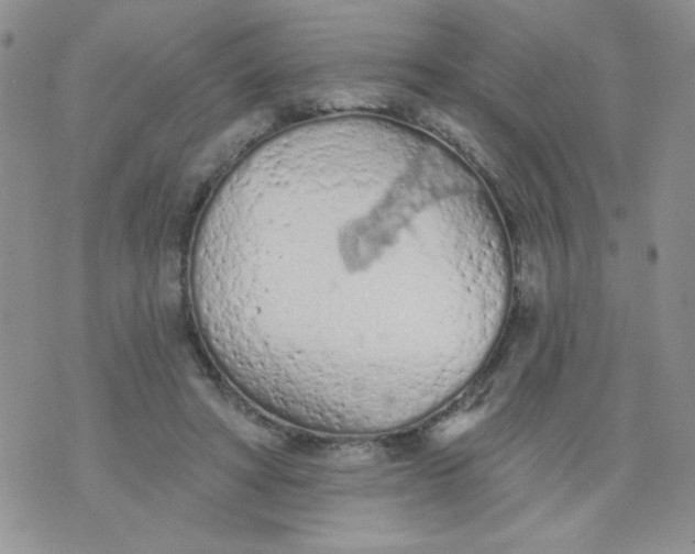 X0000074300402200609151947