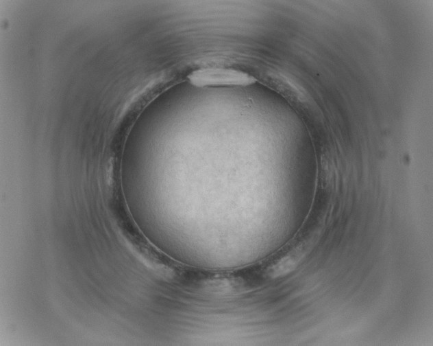 X0000074300404200609151947