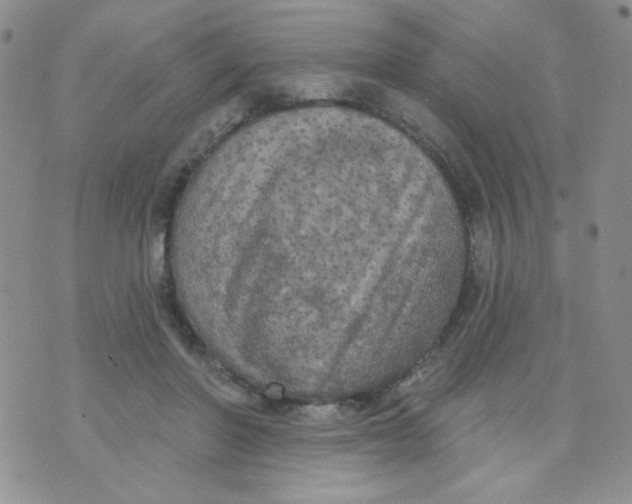 X0000074300406200609151947