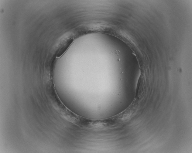 X0000074300407200609151947