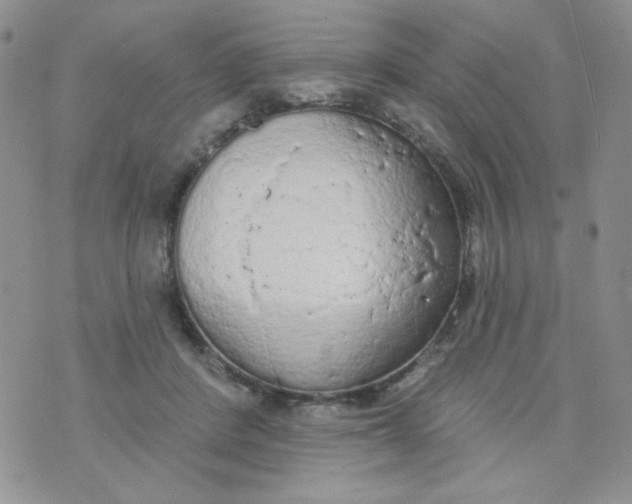 X0000074300408200609151947