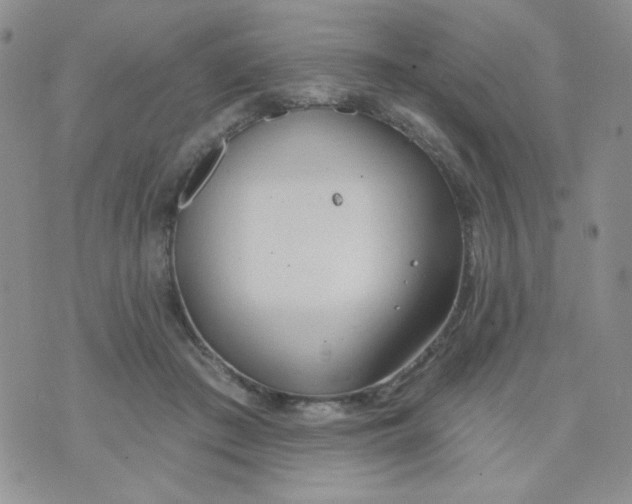 X0000074300409200609151947