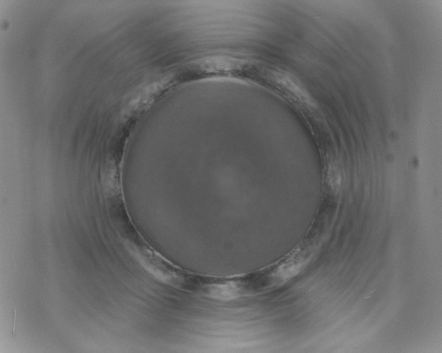 X0000074300411200609151947