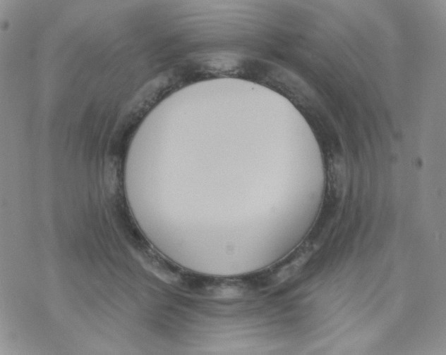 X0000074300412200609151947