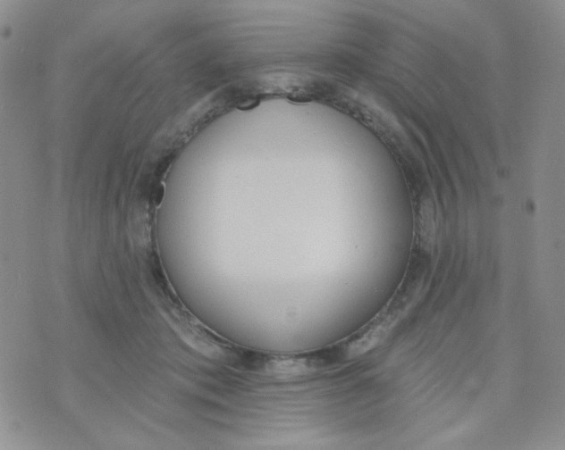 X0000074300413200609151947