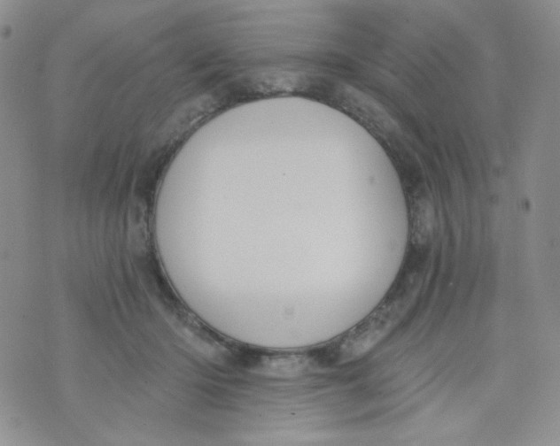 X0000074300414200609151947