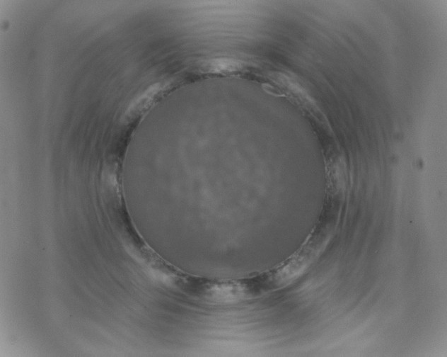 X0000074300415200609151947