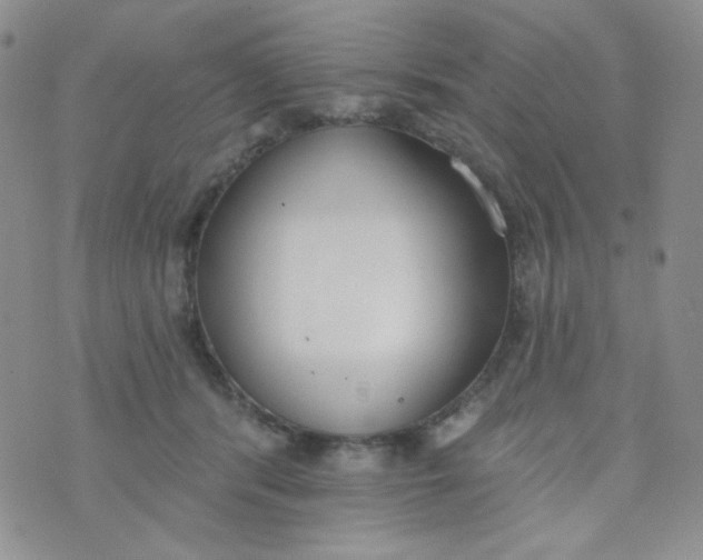 X0000074300416200609151947