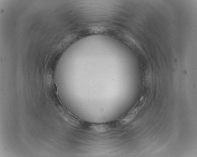 X0000074300417200609151947