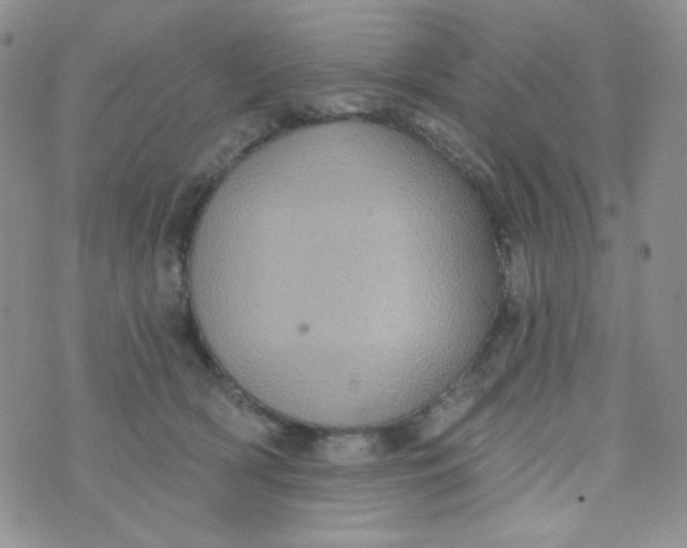 X0000074300418200609151947