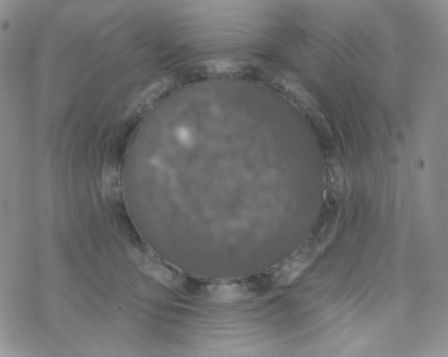 X0000074300419200609151947