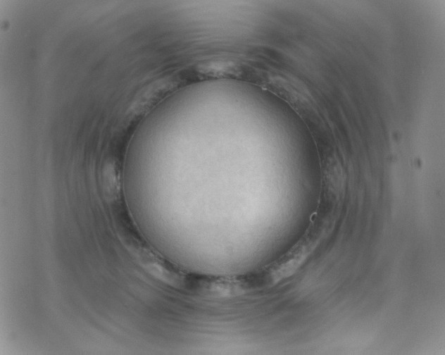 X0000074300420200609151946