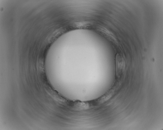 X0000074300421200609151946