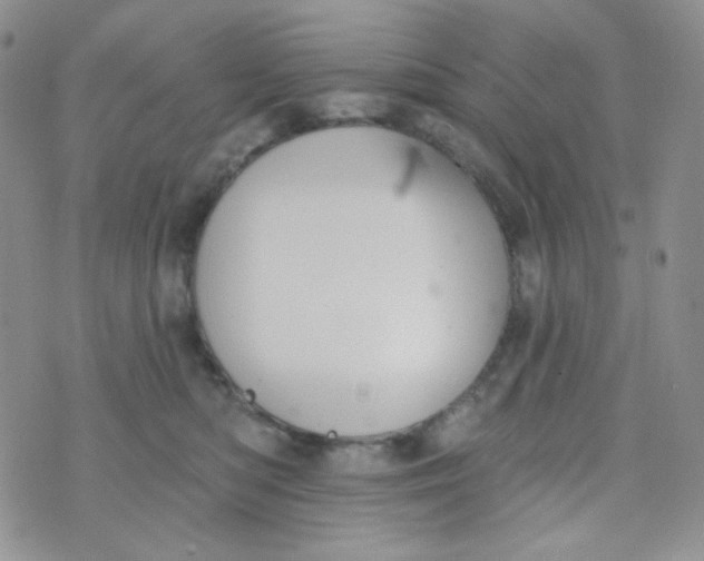 X0000074300422200609151946