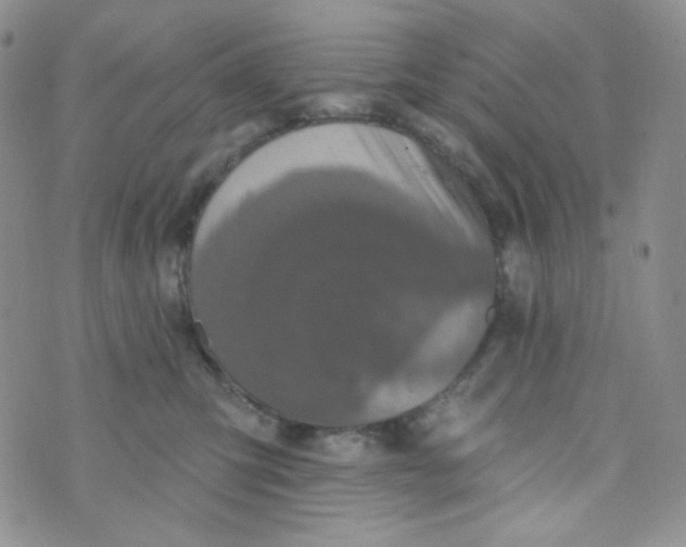 X0000074300423200609151946