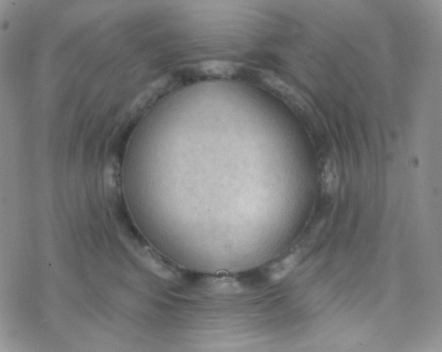 X0000074300424200609151946