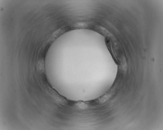 X0000074300425200609151946