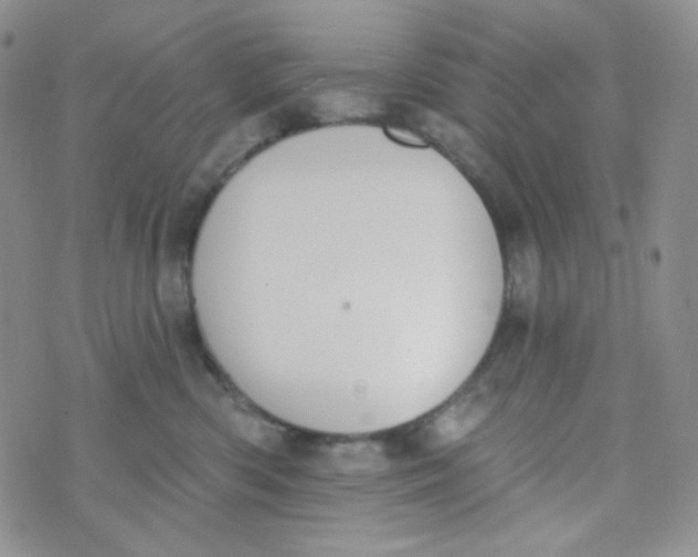 X0000074300426200609151946