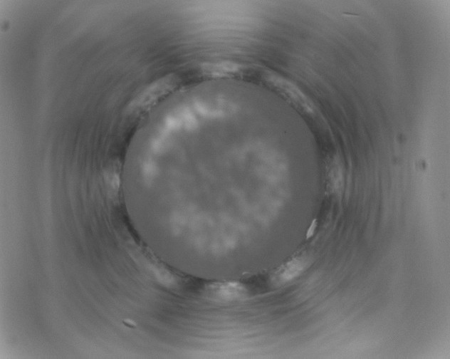 X0000074300427200609151946