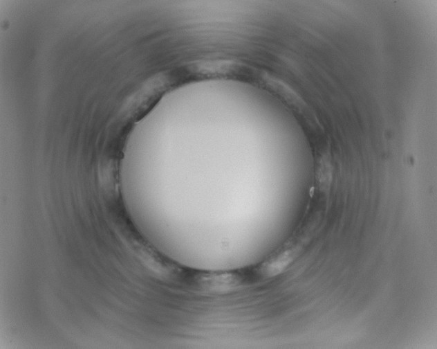 X0000074300428200609151946