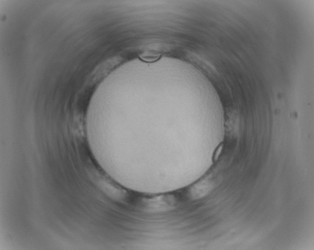 X0000074300430200609151946