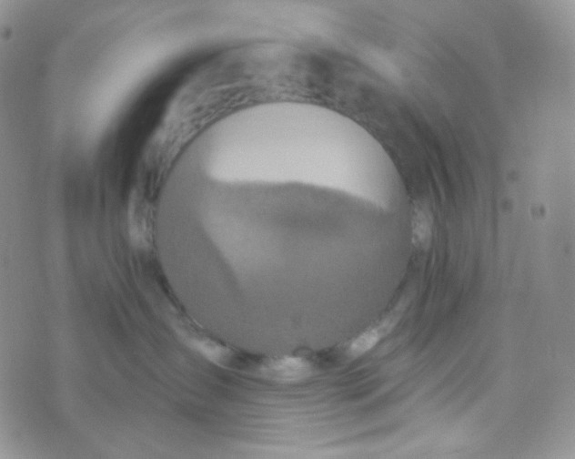 X0000074300431200609151946