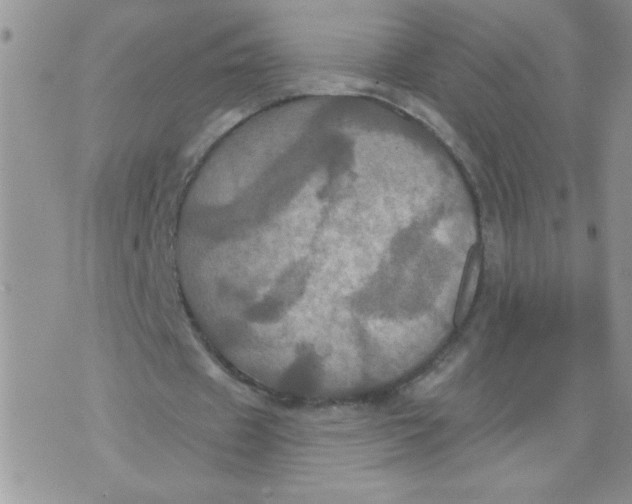 X0000074300433200609151946