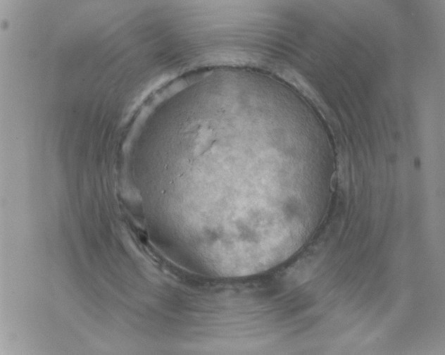 X0000074300434200609151946