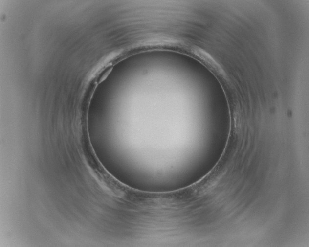 X0000074300436200609151946