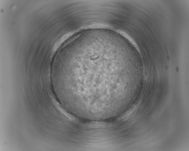 X0000074300437200609151946